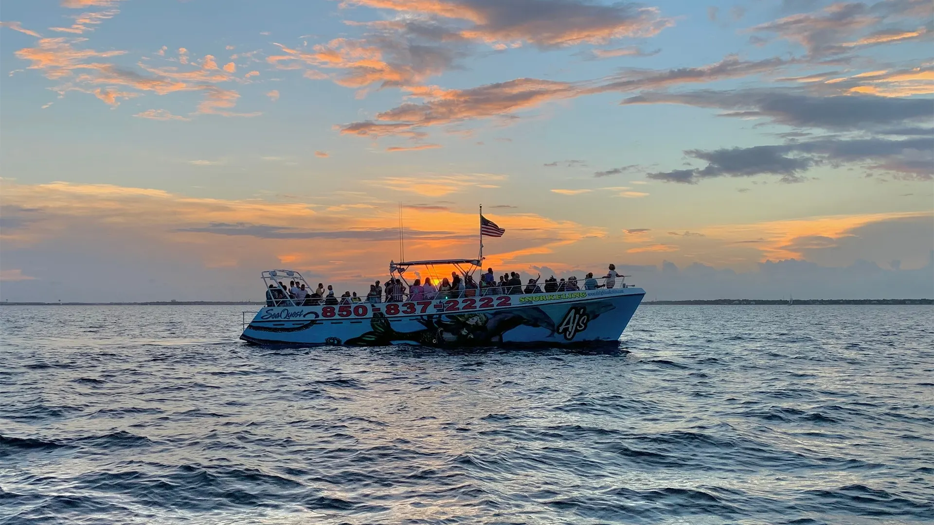aj's sunset dolphin cruise